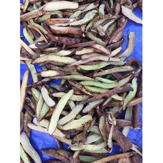Tắc kè đá 3kg