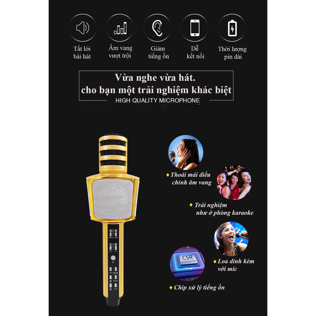 Top 5 Micro Karaoke Bluetooth Đáng Mua Nhất, SDRD SD-17 Micro Karaoke Tích Hợp Loa Bluetooth