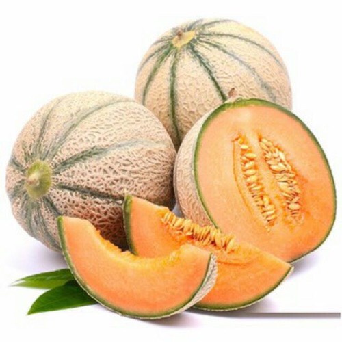 Hạt giống Dưa Lê Sọc HONEY MELON 330-1g