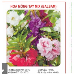 Hạt hoa móng tay kép (50 hạt)