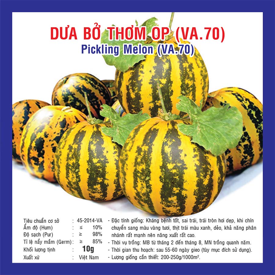 Hạt giống Dưa Bở Qủa Tròn (VA.70) – 10gram