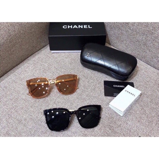 Kính thời trang đi biển