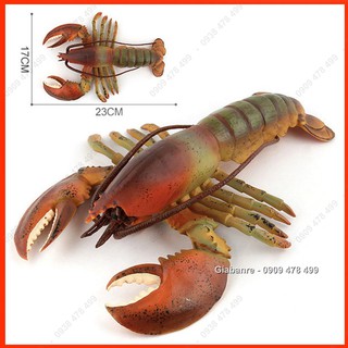 Mô Hình Tôm Hùm Tôm Càng Lobster - 7676