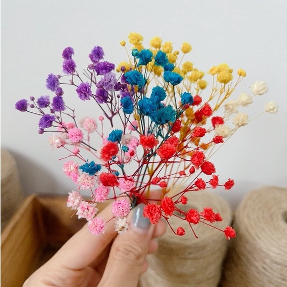 Nhánh hoa baby khô, hoa trang trí thiệp, bánh kem, qùa tặng