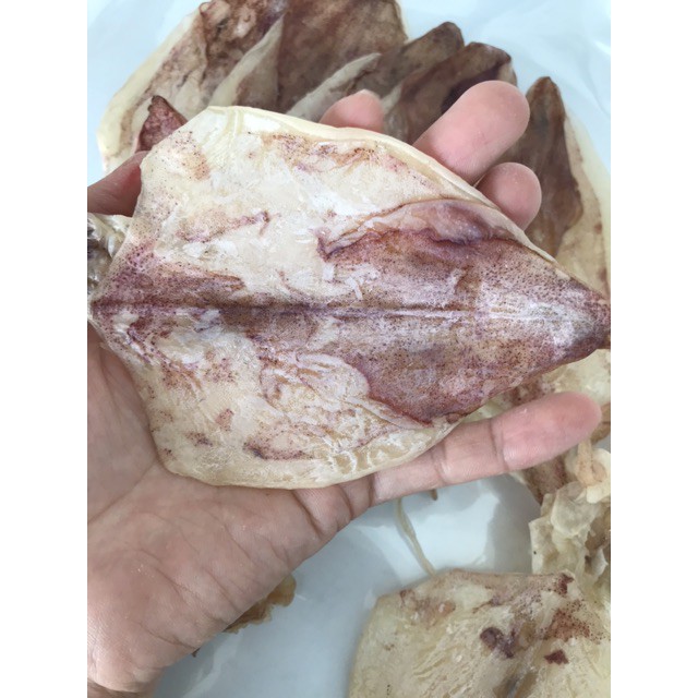 (SIÊU NGỌT) 5 con mực câu mini 3 - 4 ngón tay