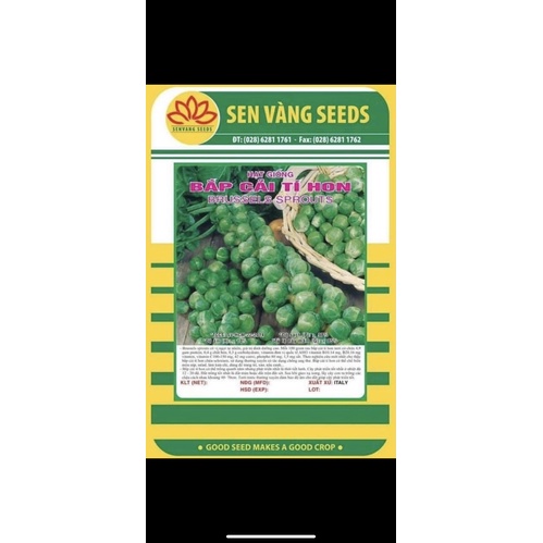 Hạt Giống Bắp Cải Tí Hon
