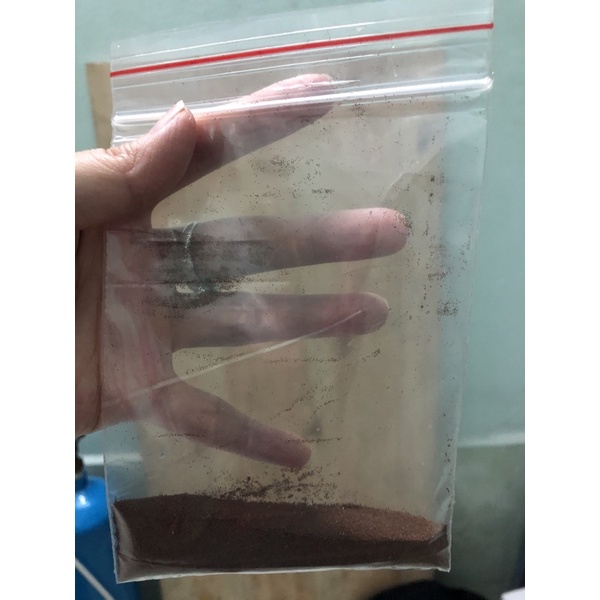 Trứng Artemia Vĩnh Châu xuất khẩu