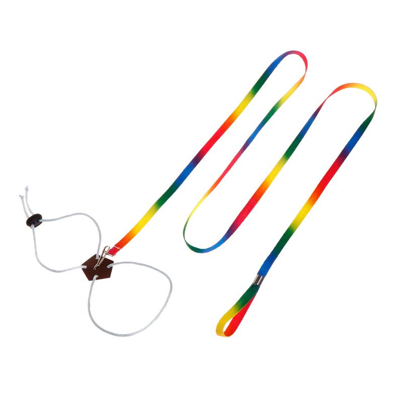 Dây Dắt Chuột Hamster Đi Dạo Nhiều Màu Tùy Chỉnh Tiện Dụng Cho Thú Cưng Nhỏ