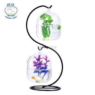 Bể cá mini để bàn hợp phong thủy hình chữ S 01