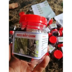 Keo bẫy chim siêu dính