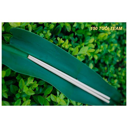 ĐŨA TRE SẠCH