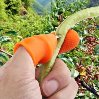 Găng Tay Hái Rau Bảo Vệ Ngón Tay - Găng Tay Làm Vườn Chuyên Dụng