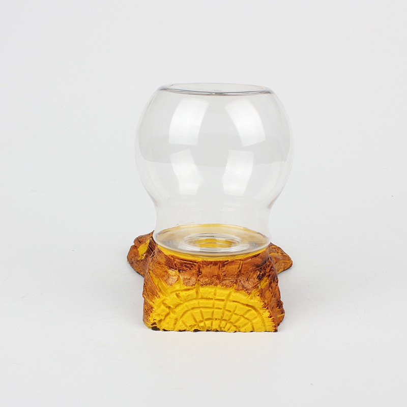 Hộp Đựng Thức Ăn Nước Uống Tự Động Cho Thú Cưng Bò Sát