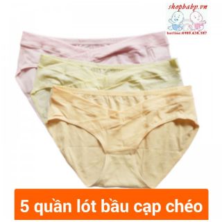 Combo 5 Quần lót bầu cạp chéo chất đẹp- freesize tới 70kg