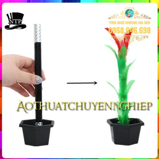 Ảo thuật đũa chậu ra hoa  - Wan To Flower