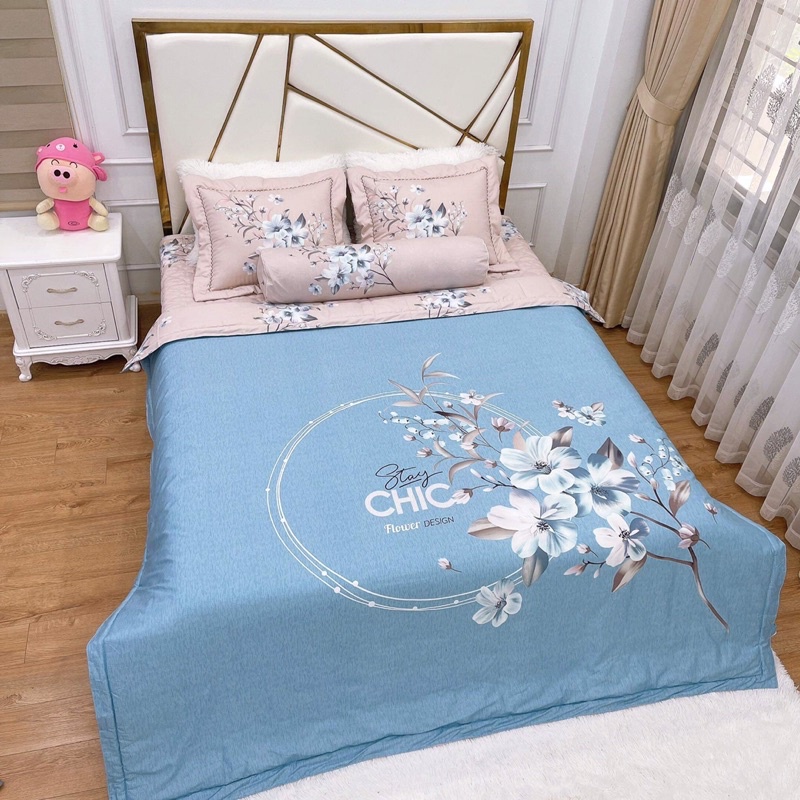 Bộ chăn ga gối cotton living trần bông 5 món