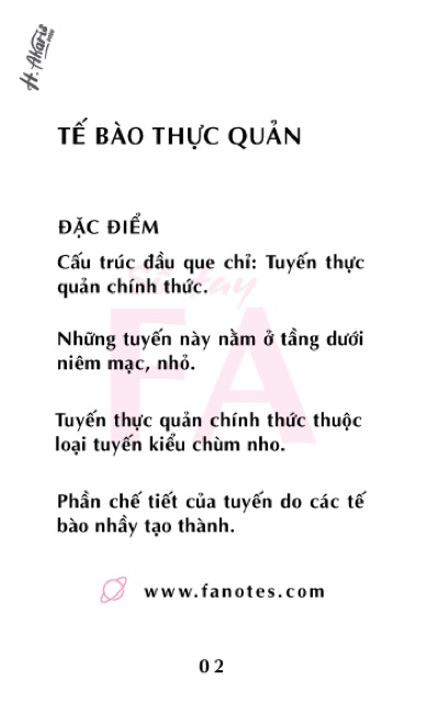 FA mô học// flashcard anatomy mô học