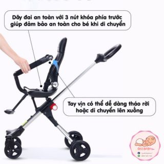 Xe đảo chiều du lịch TOMORROW