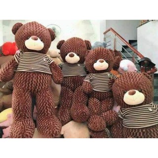 gấu bông teddy lông xoăn mềm mịn bông gòn trắng Cao cấp 90cm