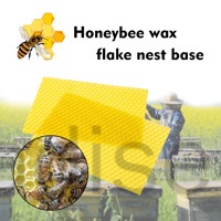 Set 10 tấm sáp ong dùng để hỗ trợ nuôi ong tiện dụng