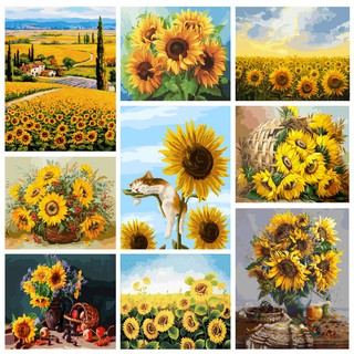 Tranh tô màu sơn dầu số hóa - Tổng hợp tranh Hoa hướng dương đẹp Sunflower- HaLa Store