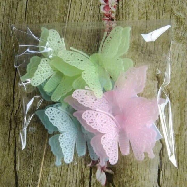 6 Bướm dạ quang phát sáng ban đêm