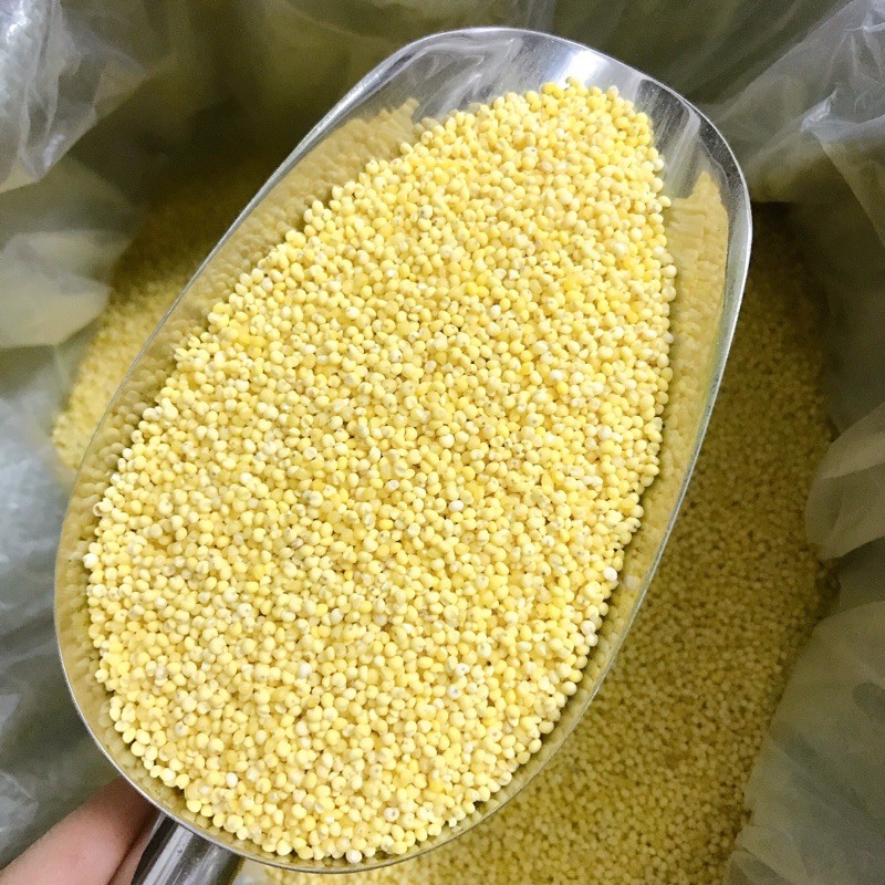 500g Hạt Kê nếp Nghệ An loại 1 không sạn | BigBuy360 - bigbuy360.vn