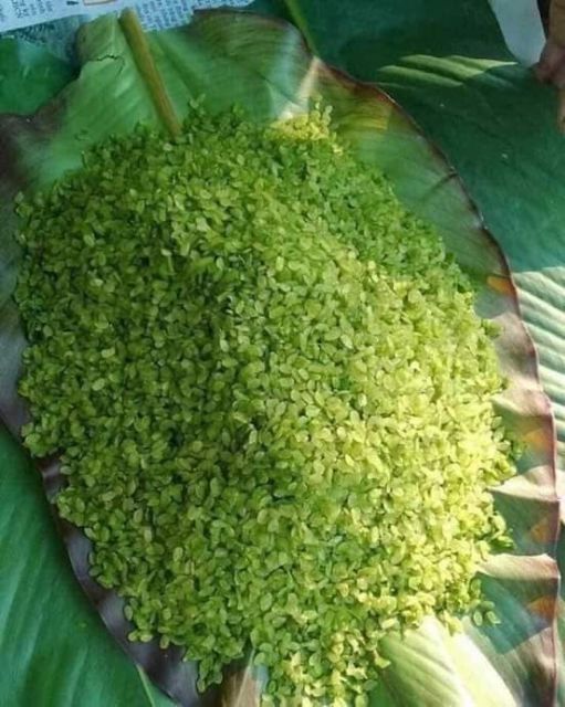 1 KG CỐM TÚ LỆ_TINH HOA MÙA LÚA CHÍN