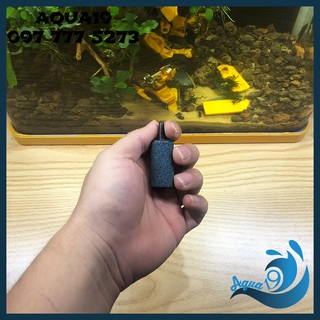 Quả Sủi Oxy Nhiều Size