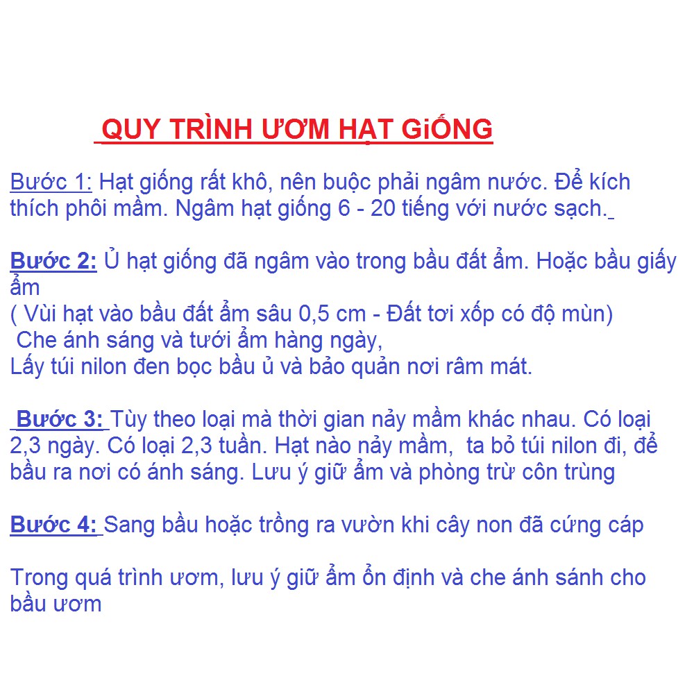 Hạt giống hoa sen ta - sen lớn gói 10 hạt xuất xứ Việt Nam