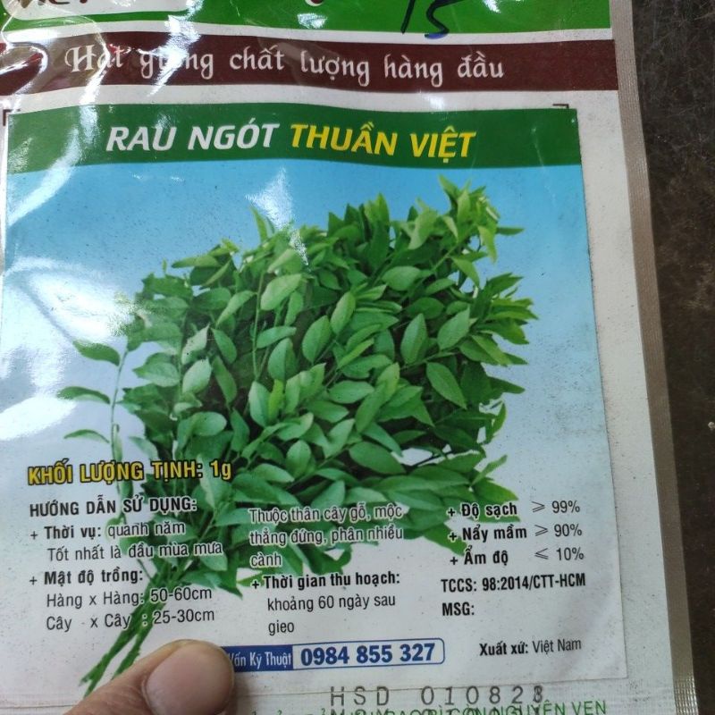 hạt rau ngót việt, khối lượng 1 g( hạt cây rau bồ ngót)
