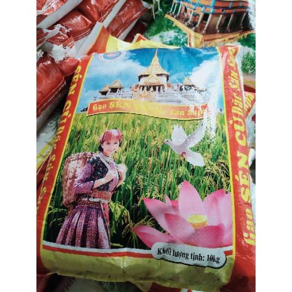 Gạo Séng Cù Hạt Tròn Chuẩn Cơm Ngon Khối Lượng, 10kg