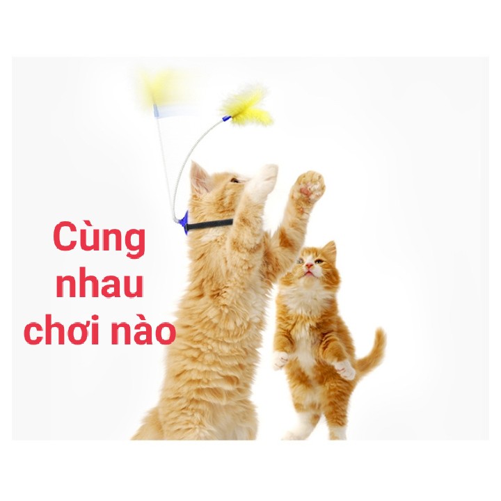 Cần câu mèo cải tiến mới nhất hiện nay với rất nhiều cách chơi cùng mèo cưng