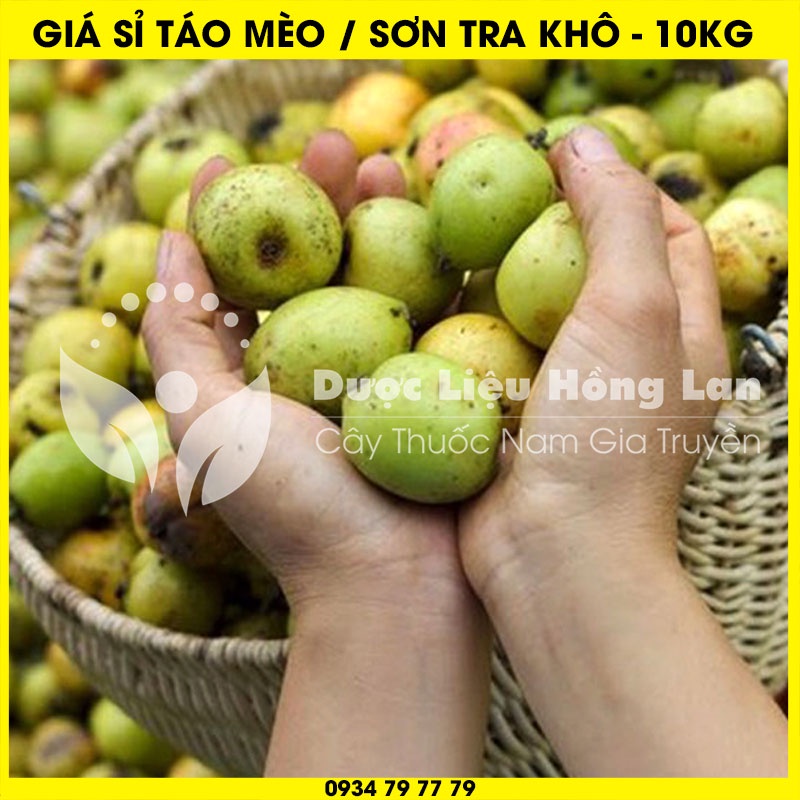 Cung cấp sỉ QUẢ TÁO MÈO khô giá bán 10kg - Công ty dược liệu Hồng Lan