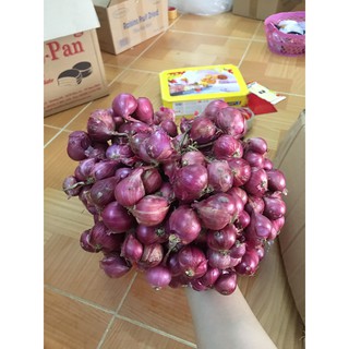 Hành tím miền tây, Hành Bắc , Tỏi Bắc Loại một 1kg Trinhcandybd