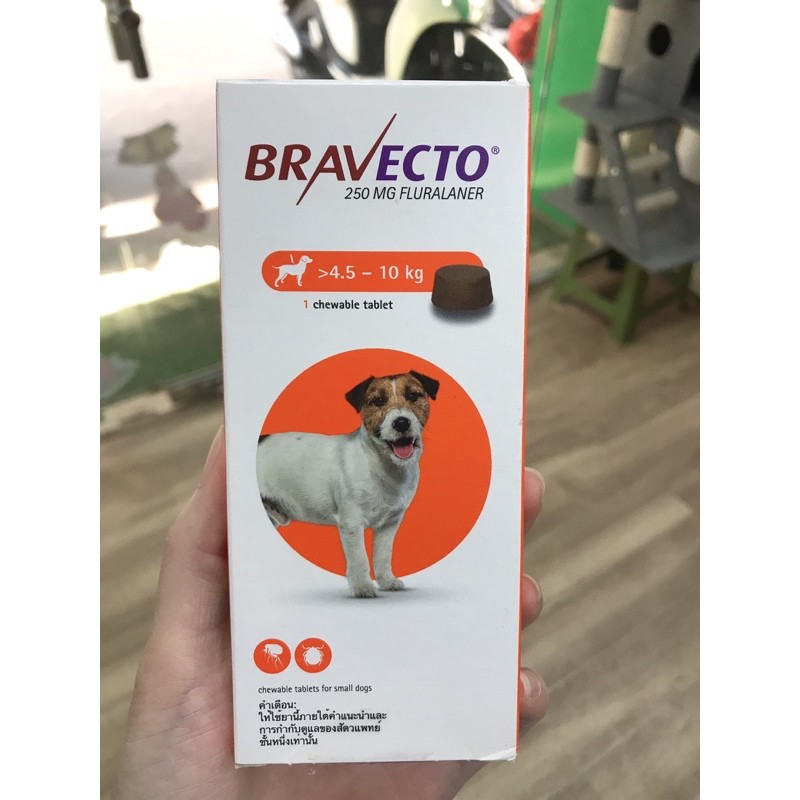 Viên nhai Bravecto cho chó