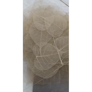 Combo 50 lá bồ đề