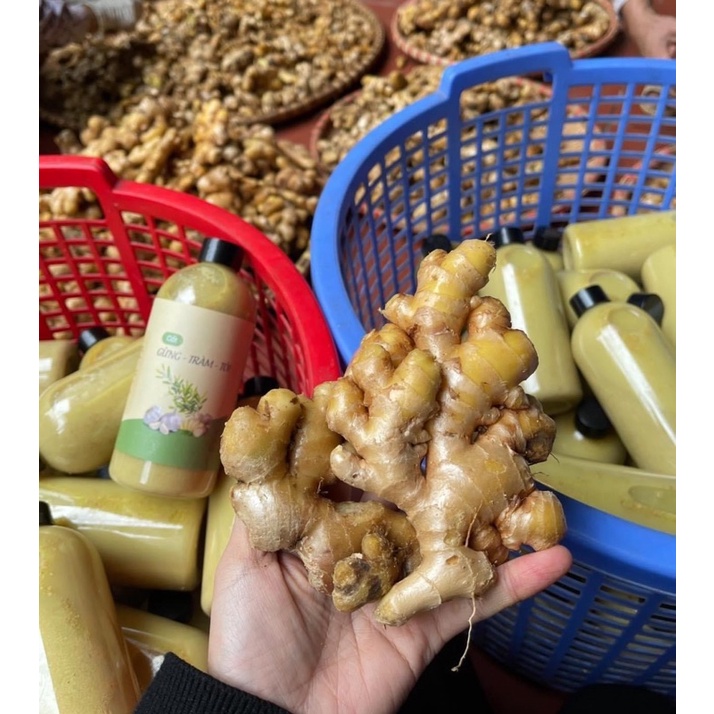Cốt gừng tràm tắm cho bé và ngâm chân giữ ấm cơ thể chai 500ml
