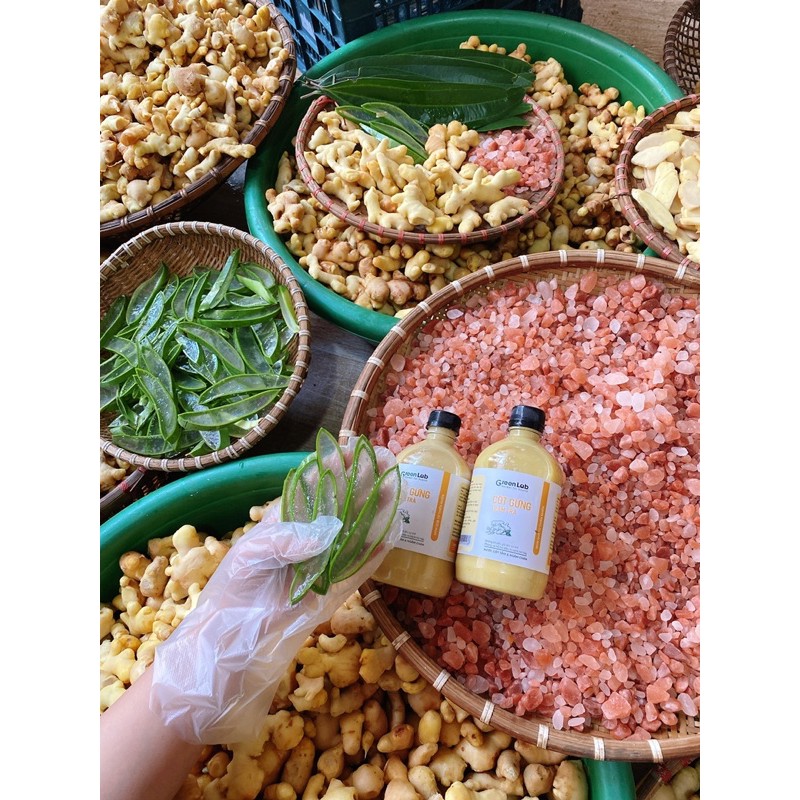 Cốt gừng tràm trà GreenLab Nước Tắm Bé Ngâm Chân Gia Đình - Giữ ấm cơ thể tránh phong hàn 500ml