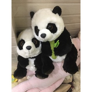 Gấu bông panda