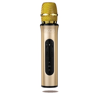 Mua Micro Bluetooth không dây kèm loa Karaoke PKCB 321 10w Line 3.5mm  TF Chip DSP - Hàng Chính Hãng