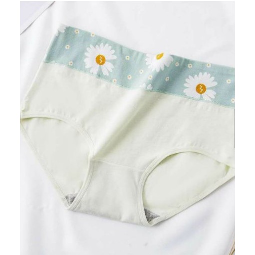 QUẦN LÓT- COTTON GEN NHẸ CẠP CAO thoáng mát 6108 - CHILLHOUSE