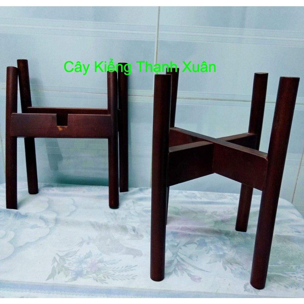 Kệ Gỗ Kê Chậu Cây Cảnh, Đôn Đê Chậu Hoa, Giá Đỡ Gỗ, Kích Thước Cao 24x Rộng 20, Lọt Lòng 16cm, Cây Kiểng Thạnh Xuân