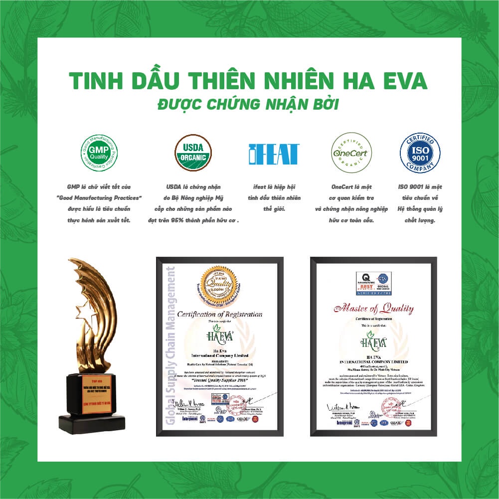 Tinh dầu Xông Bạc Hà Haeva Cao Cấp, 100% Thiên Nhiên, giúp khử mùi, thanh lọc không khí, đuổi chuột,Chai 10ml/30m/100ml