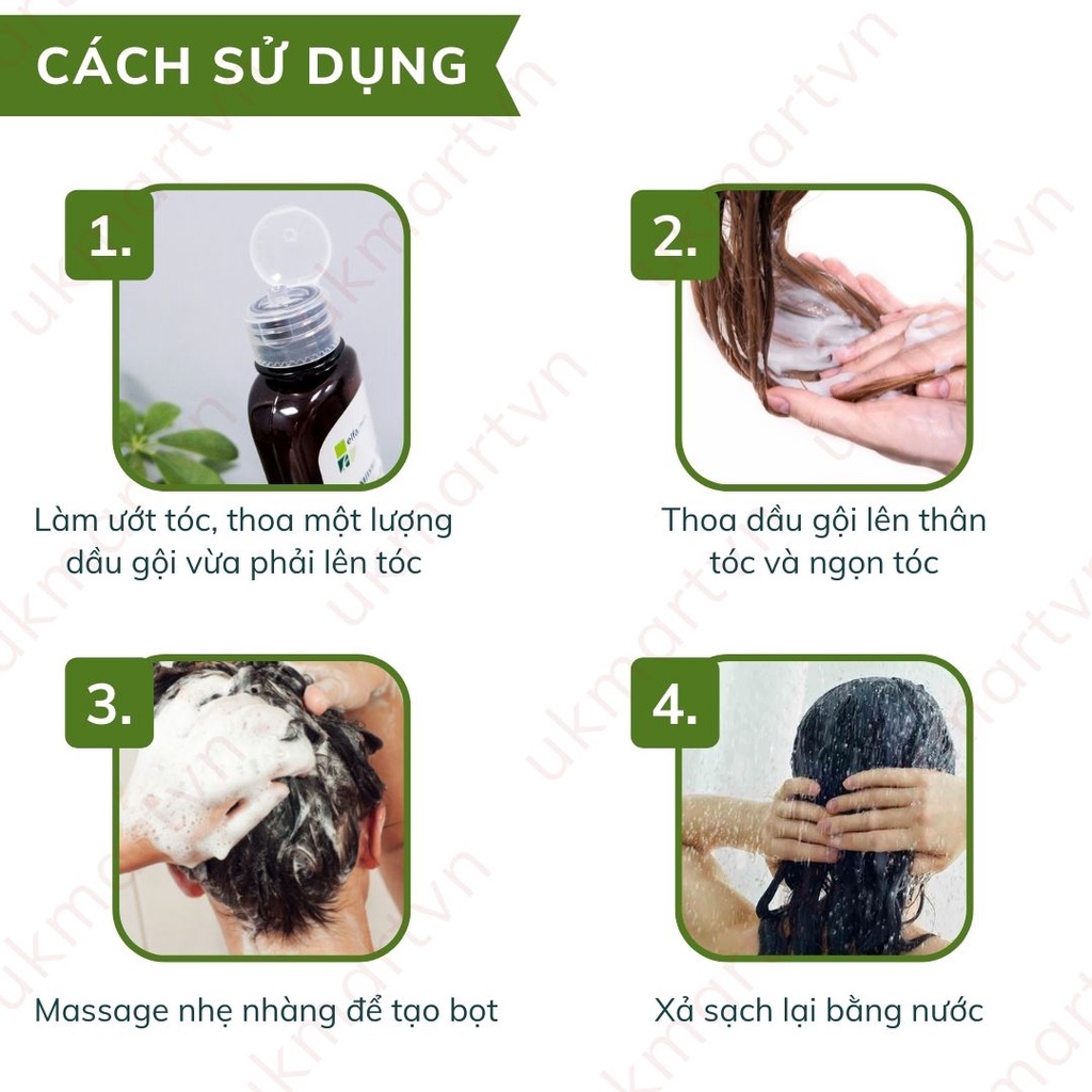 Dầu Gội Elfa Pharm 7 In 1 Chống Rụng Tóc Chiết Xuất 7 Loại Tinh Dầu Thảo Dược 200ml