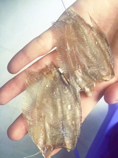 Khô cá sặc điệp 500g