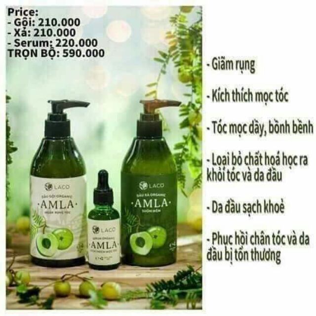 Bộ dầu gội Amla