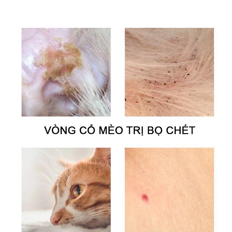 Vòng Cổ Chống RẬN VE BỌ CHÉT chó mèo thú cưng - Vòng cổ phòng diệt ký sinh trùng trên da chó mèo