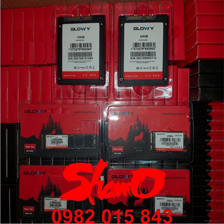 Ổ cứng SSD Gloway (SATA III) các model M2 / mSATA / 2.5” – CHÍNH HÃNG – Bảo hành 3 năm