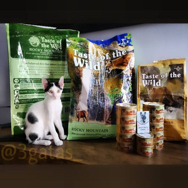 Thức Ăn Cho Mèo Taste Of The Wild Combo 2 bao 500g  Tặng 1 sốt kem Aatas Cat - Da Lông Bóng Mượt, Trí Não